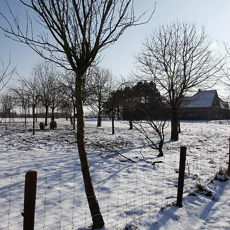 De Sneppelhoeve Bed and Breakfast Wuustwezel
